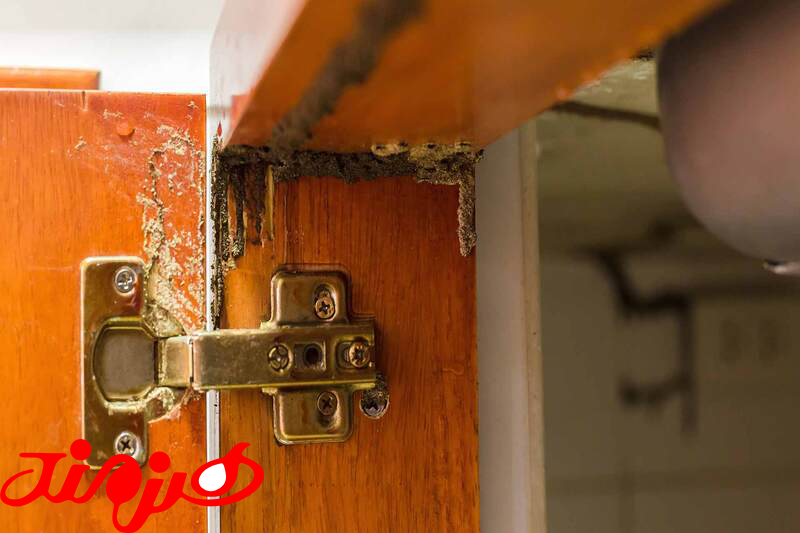 موریانه و ام دی اف