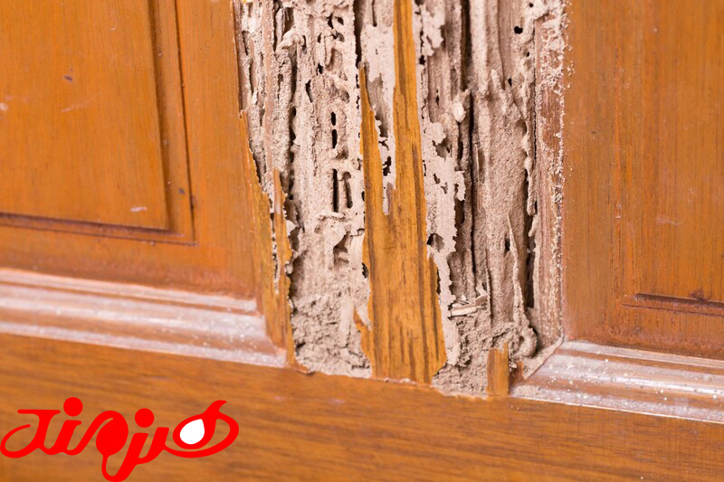 آیا کابینت ام دی اف موریانه می زند